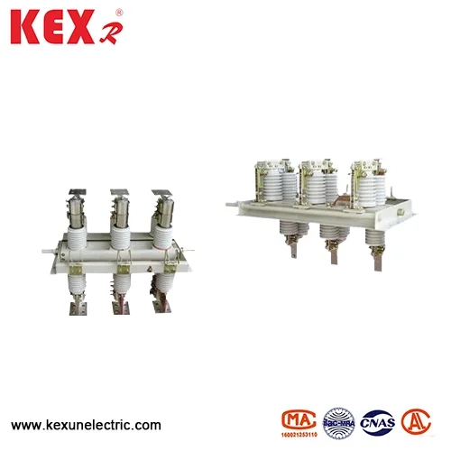 GN30 Tip İç Mekan Döner HV Disconnector